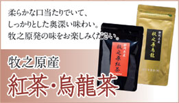 牧之原産の紅茶と烏龍茶
