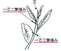 �C���X�g�F������E�ވʒu